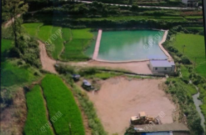 播州三岔水源垂钓塘