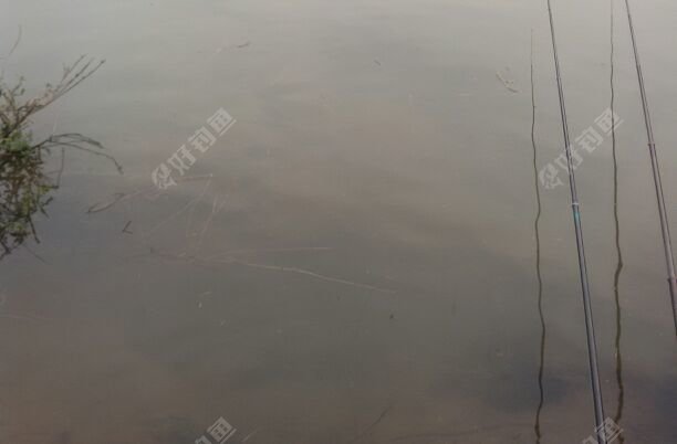 嘉陵江北岸江山