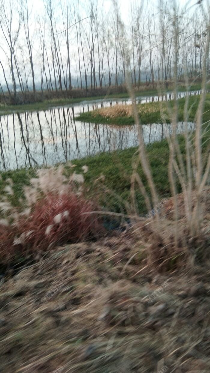 IMG_20171124_164212.jpeg