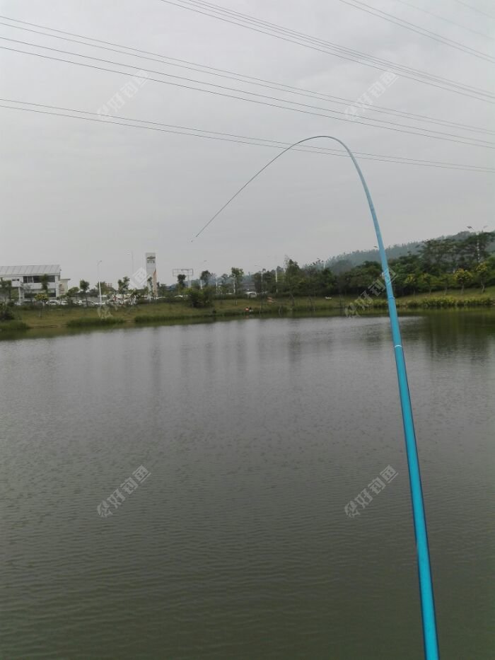 果然天道酬勤弯弓依然漂亮