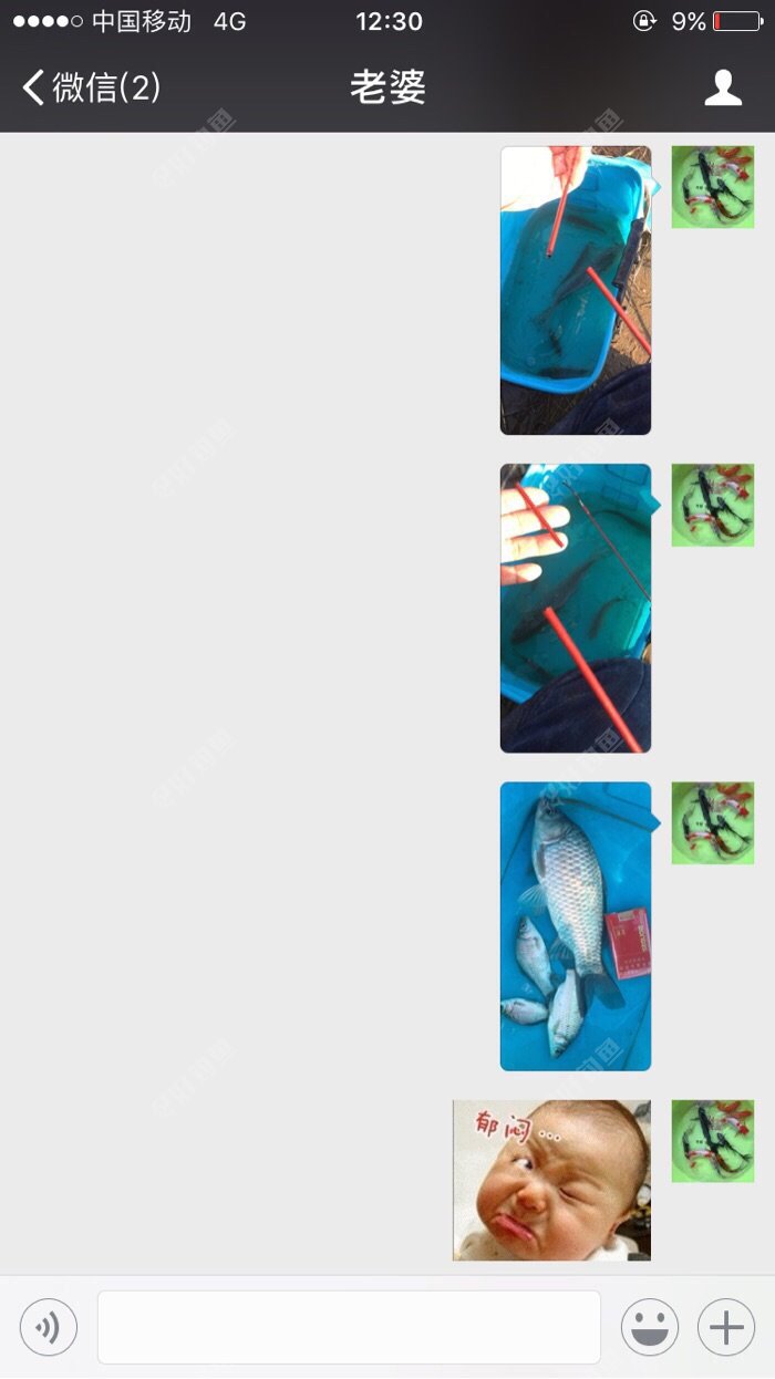 IDSVXQVV.jpg IDSVXQVV.jpg