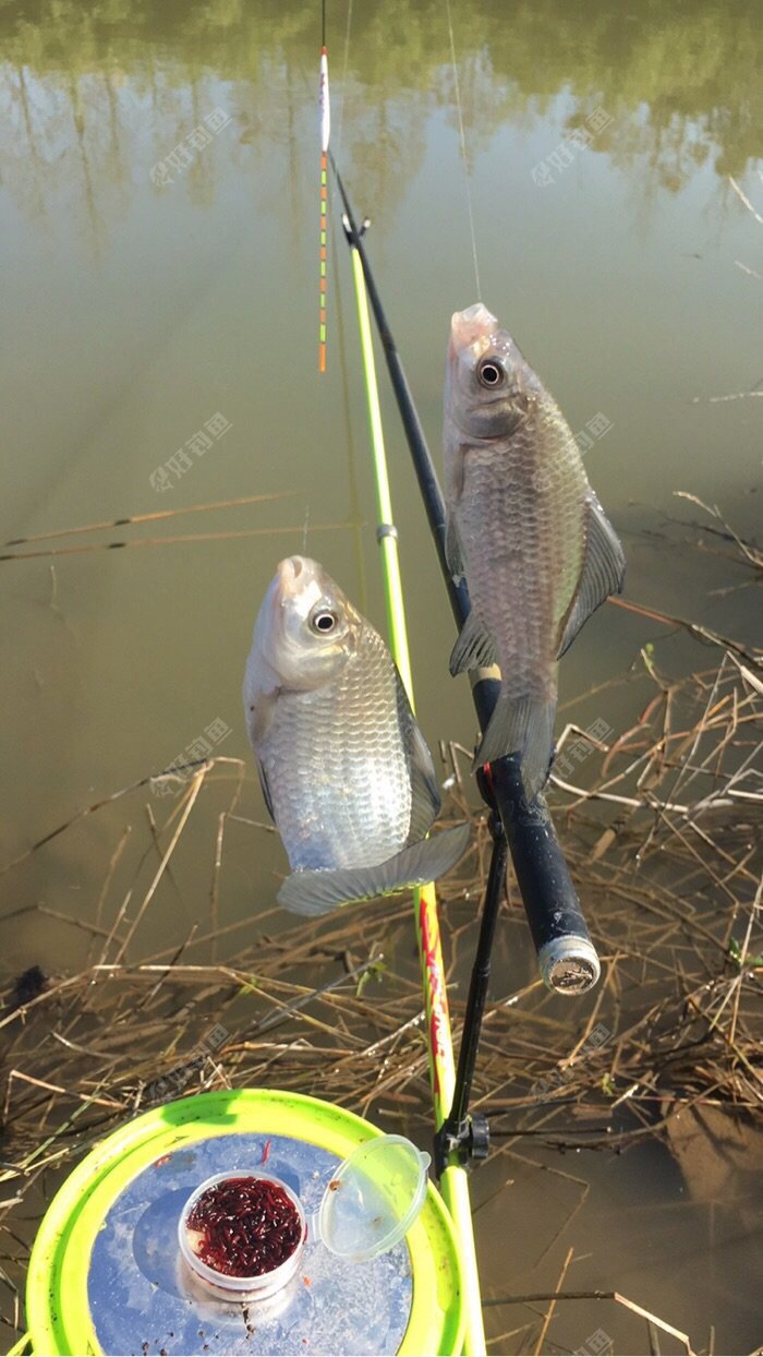 AKUKYOQE.jpg AKUKYOQE.jpg