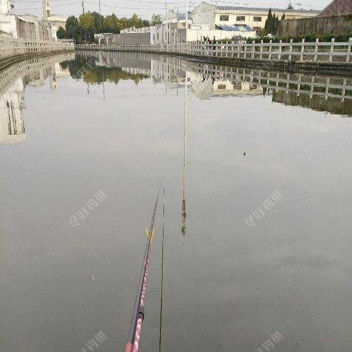上虹工业小区钓场