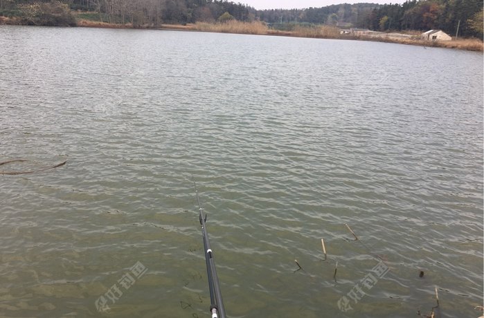 镇江丹徒区黄墟镇大塘泥湾村