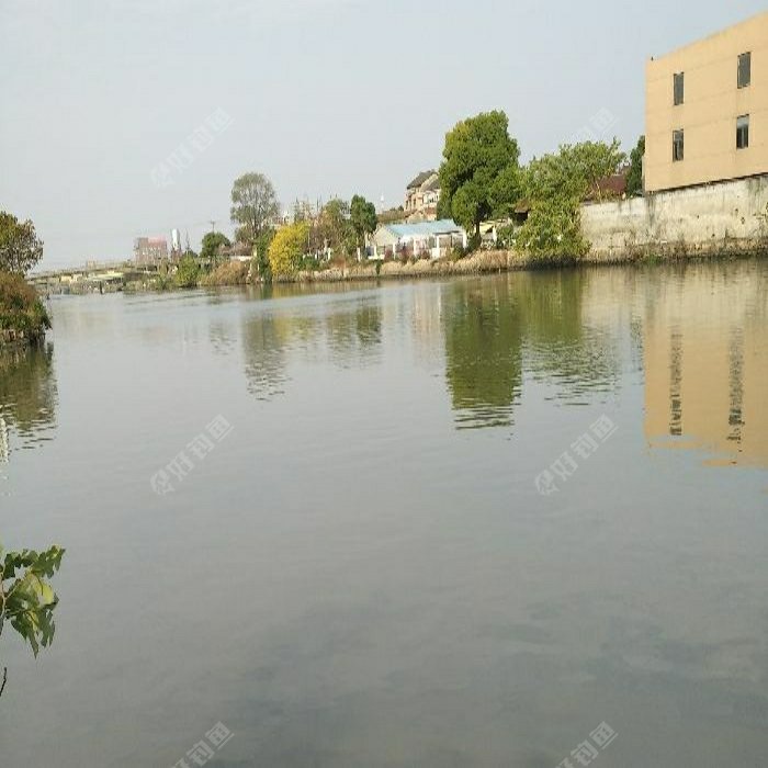 远大健康城钓场