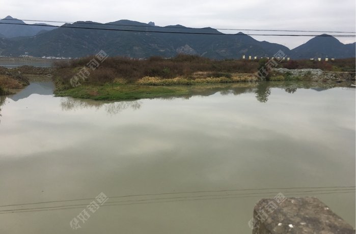 桐东线老路野河