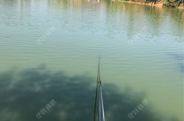 西淝河孙集段钓场