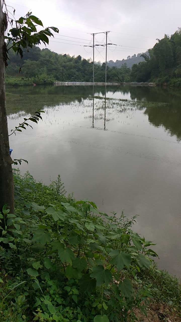 麻山月亮湾农场