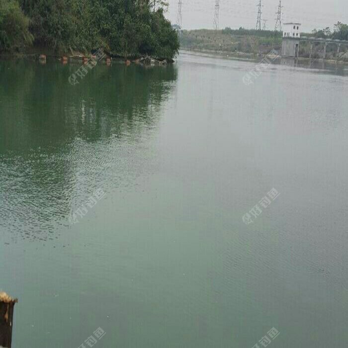 红水河水电站上游水坝段