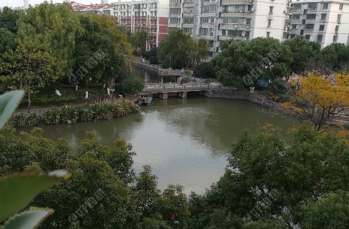 镇海中大河镇棉桥