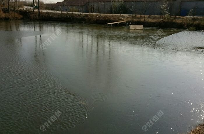 窦家官庄垂钓园