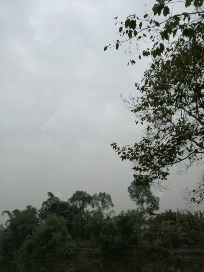 IMG_20171217_175328.jpeg