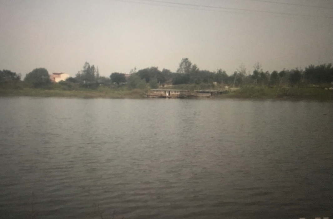 樟岙村航道河段