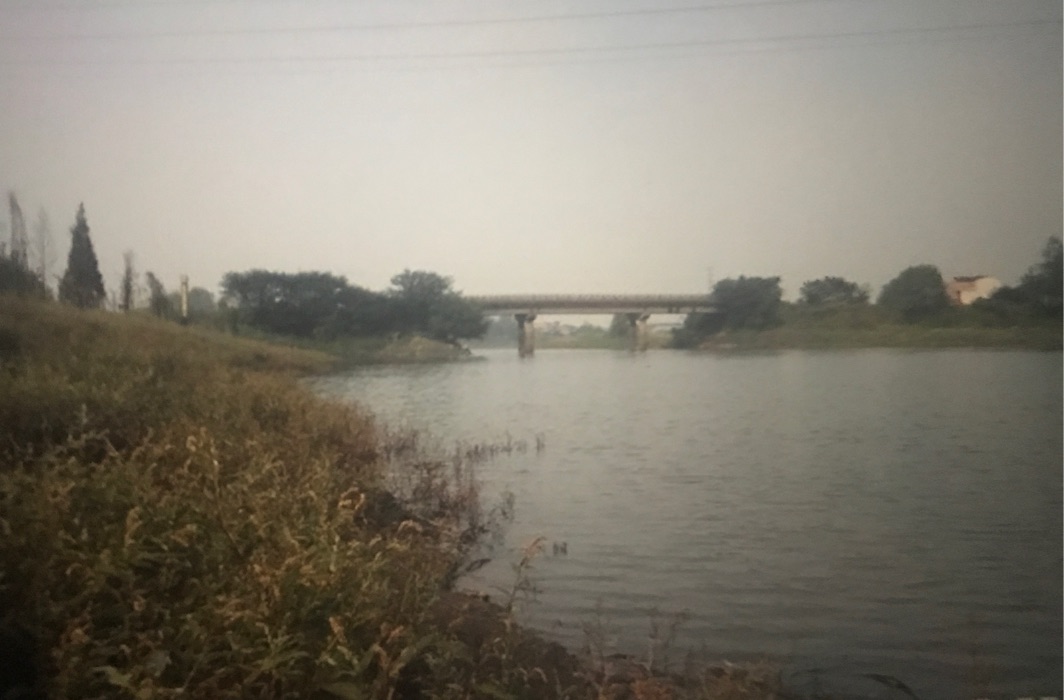附一医南边野河