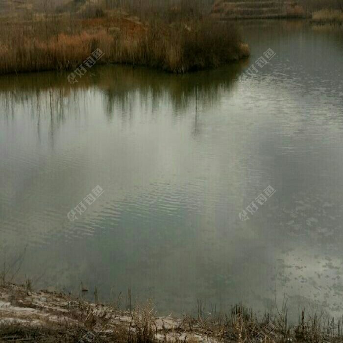 前沙沟村南水坝