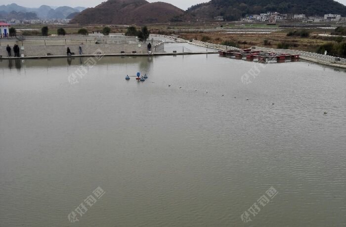 丁旗花水全民钓鱼乐园