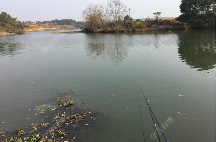 珠晖区二七二河港子