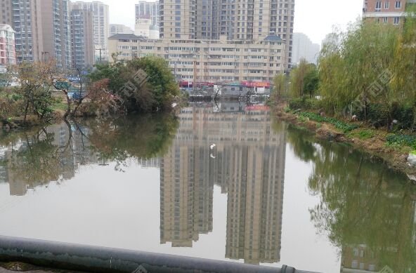 吉祥洗车店前面野河