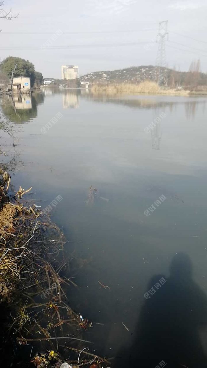 中兴路下埠路口