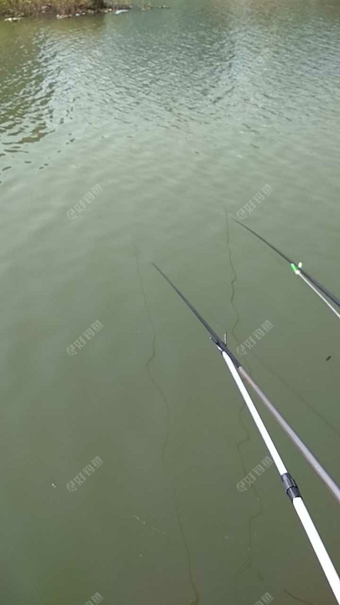 抚河盱江中坊段