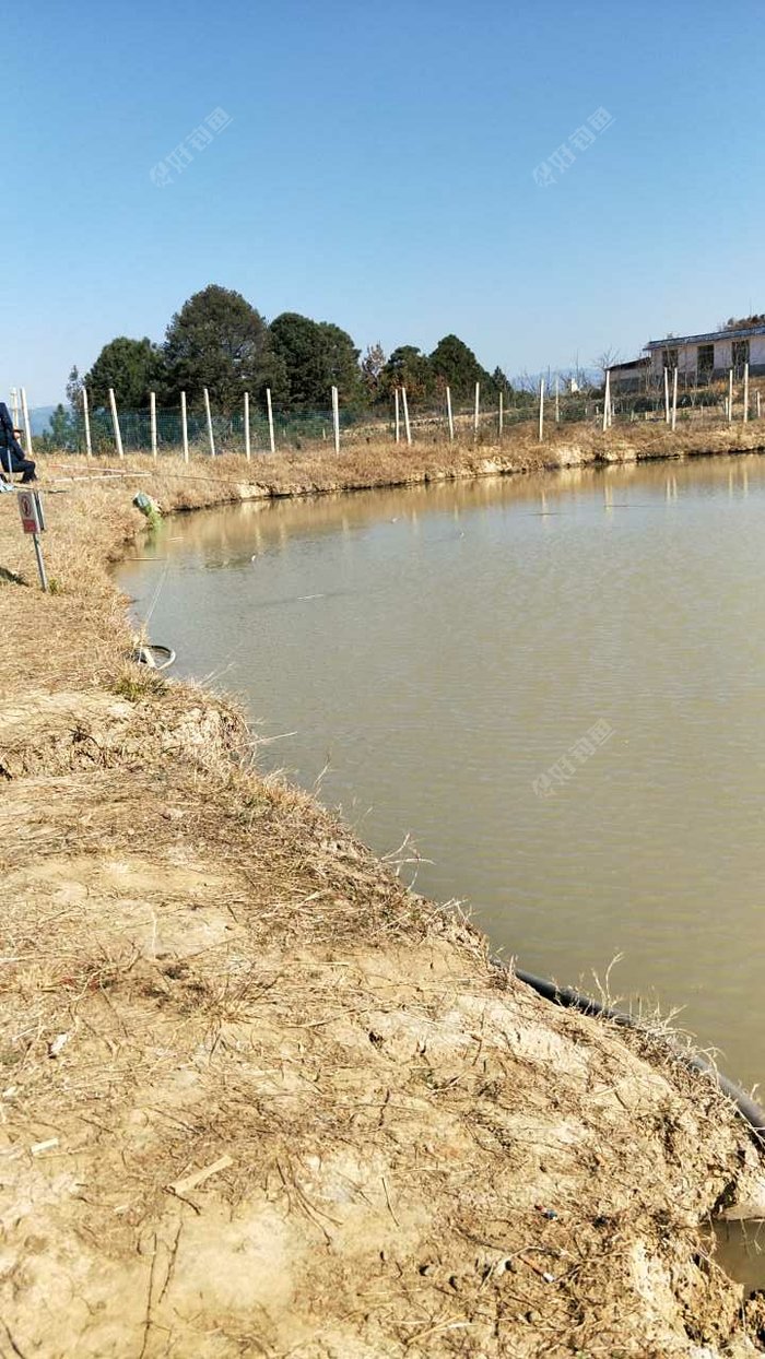 蓝雨蓝莓生态垂钓园