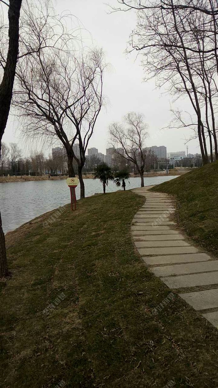 古黄河雄壮河湾子母岛