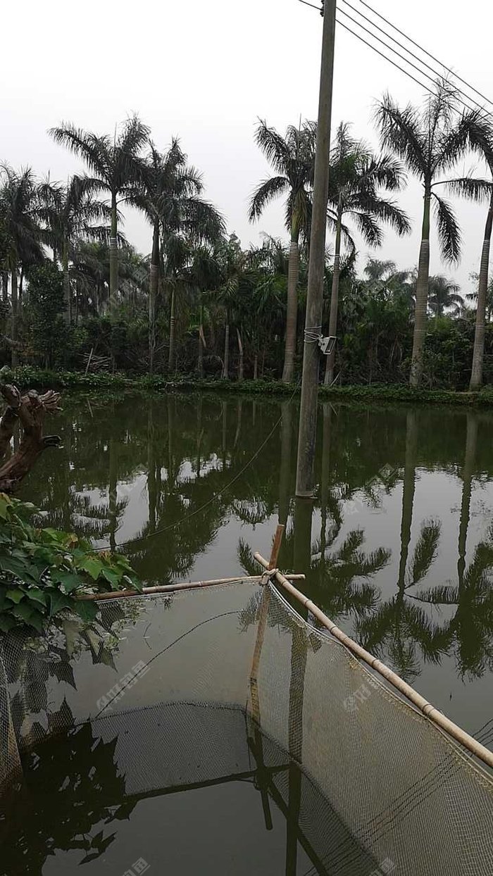 天然居原生态钓场