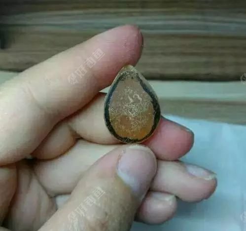 3、磨掉多余的部分,锉刀砂纸都可以。磨的时候最好戴口罩,会有腥臭味。一般磨完后腥味也就散了。