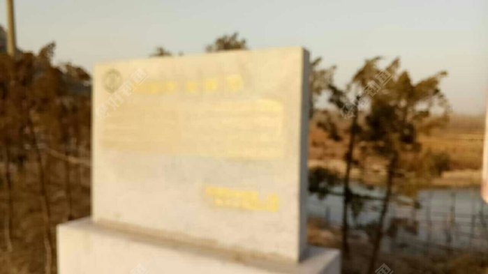 奇石园生态垂钓园