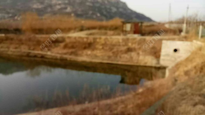 王鹏果园西垂钓园