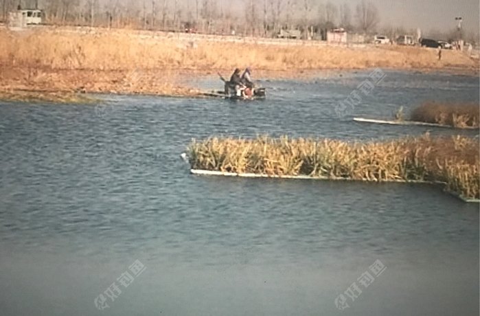 小李灰村入江口