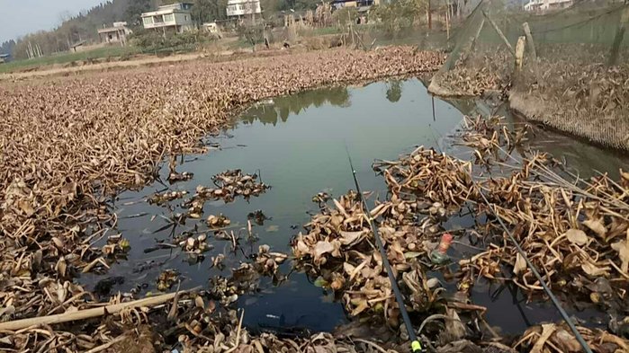 野钓水库