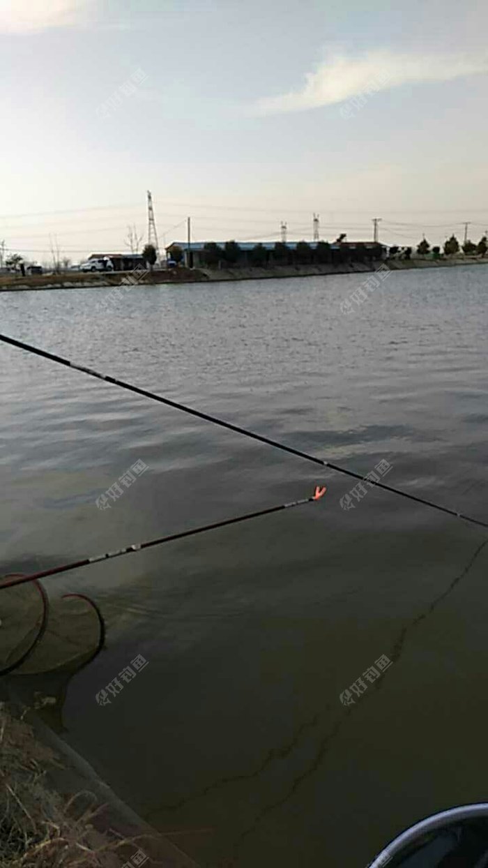 秦咀坝脚下绿色垂钓园