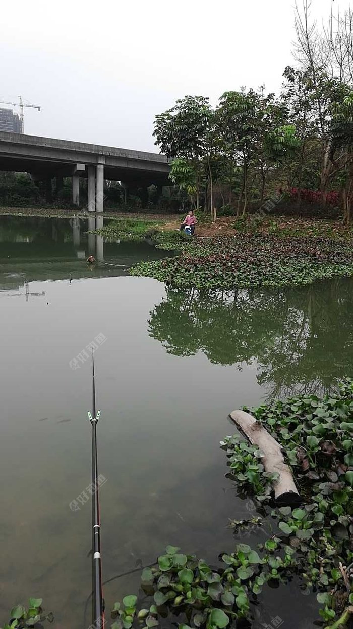 新基路高速收费站野塘