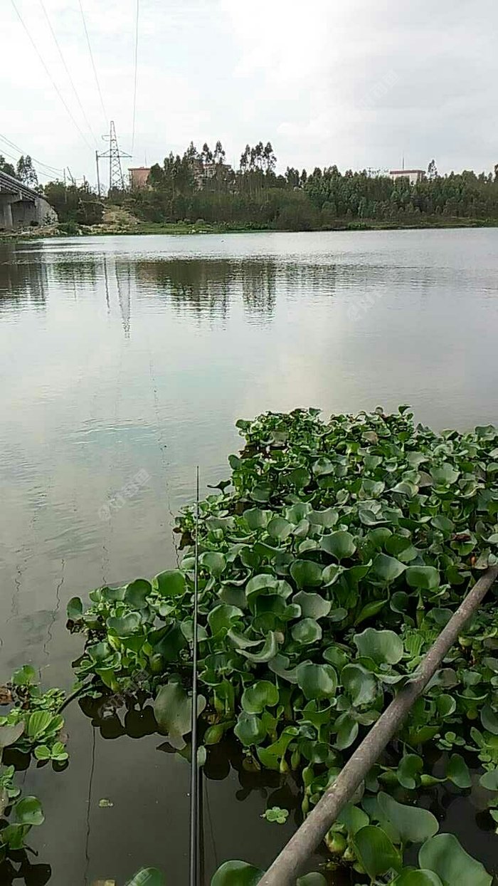 沙产河野钓