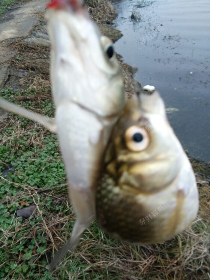 IMG_20180301_092136.jpeg