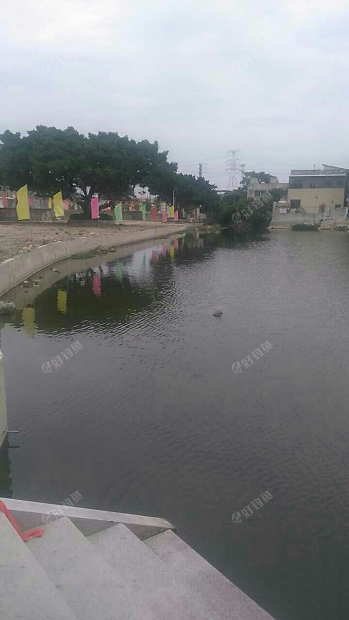 五嘉陇李厝大池