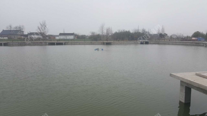 泰河休闲垂钓园