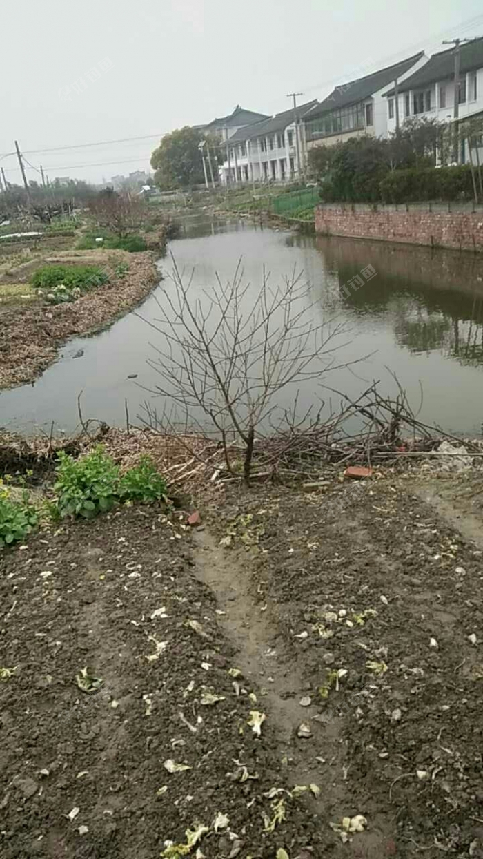 大团无名小溪流