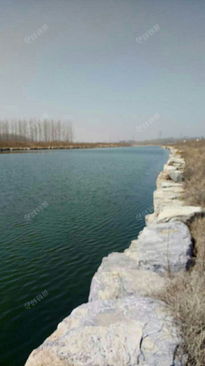 古黄河支口节制闸至通湖大道段