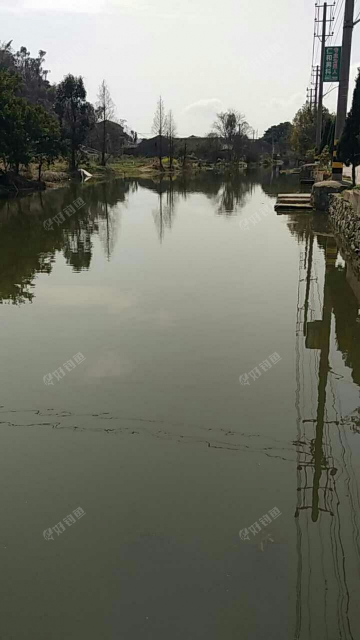 塘下村旁边小河