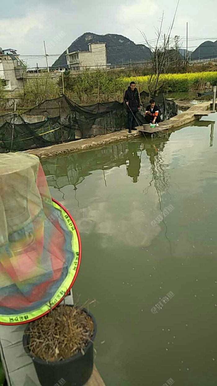 普贡闲半天休闲垂钓园