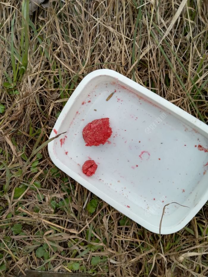 料饵,