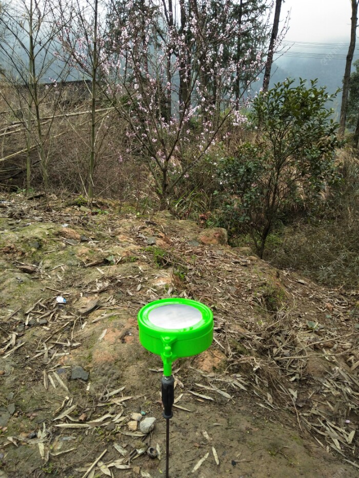 场外实验中漂亮吧!