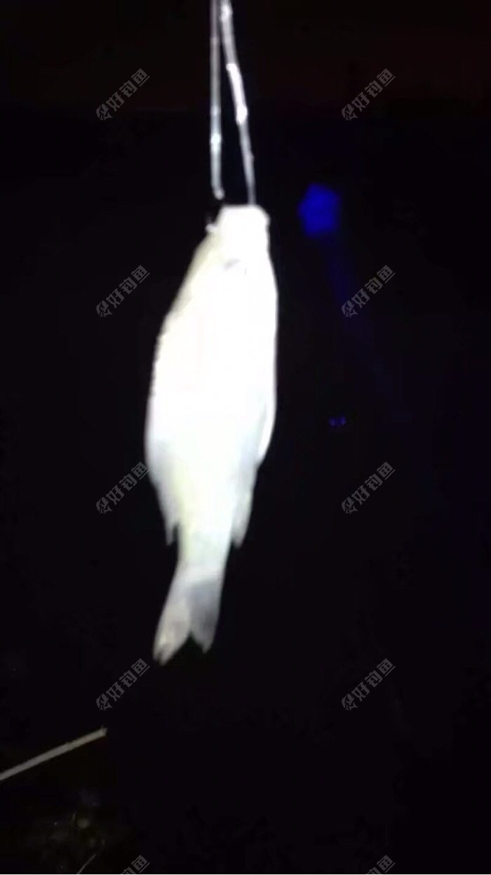 还是不大