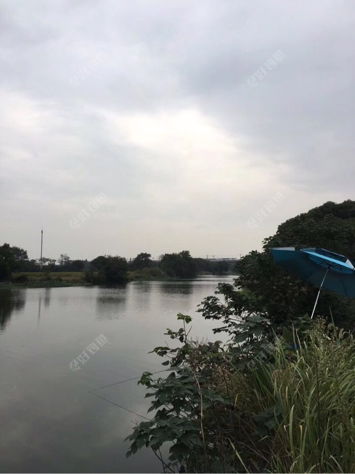 打伞的地方是我夜钓的位置!也是我爆桶的位置,空了我就把爆桶的鱼货,再次分享给好钓鱼的每位钓友!