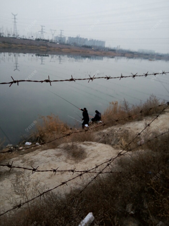 挨得近的肯定是相约而来