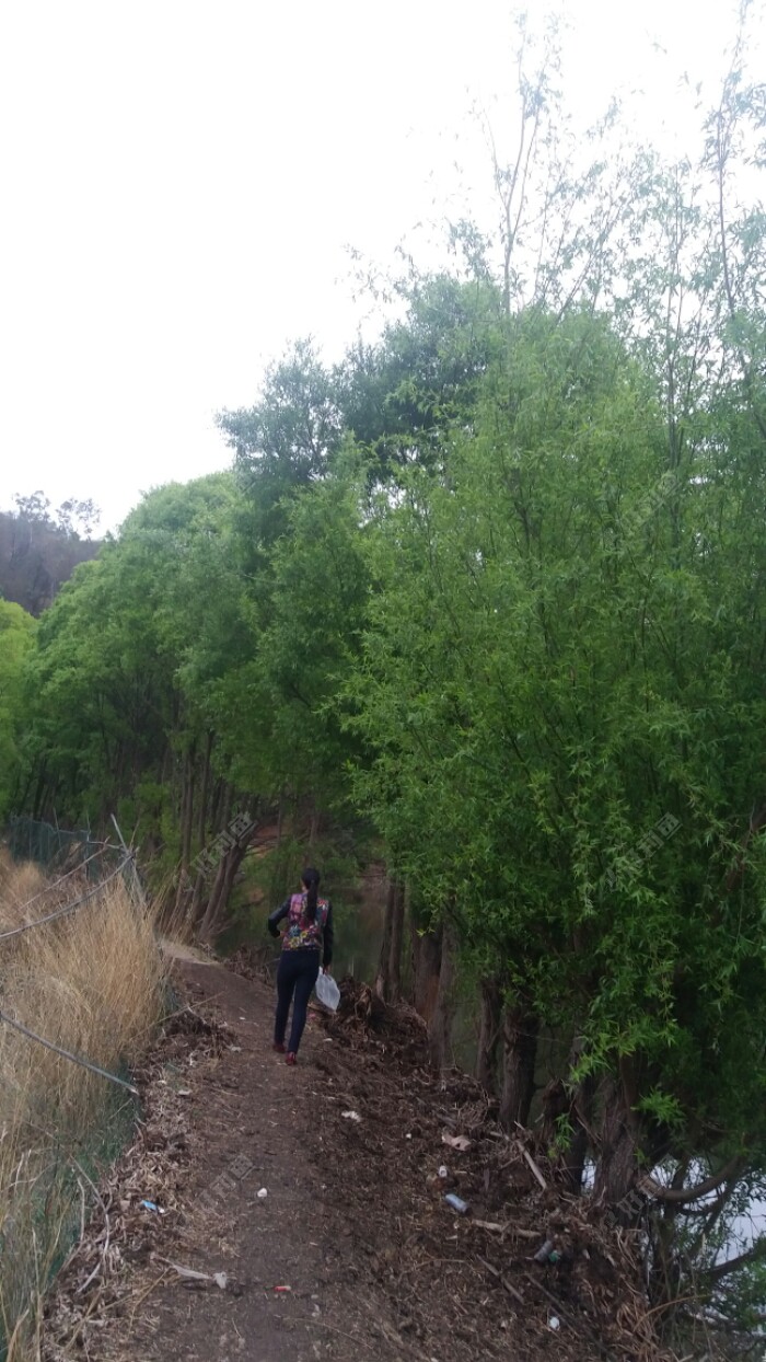20180314_185501.jpeg