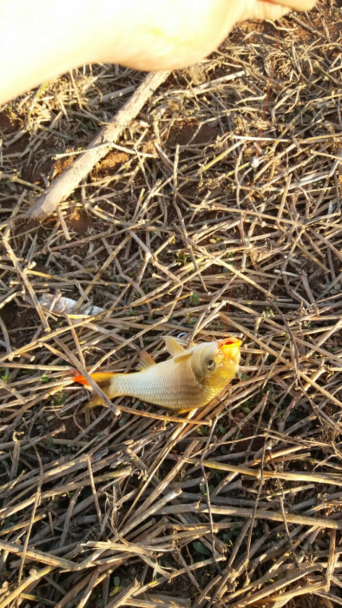 20180320_181448.jpeg