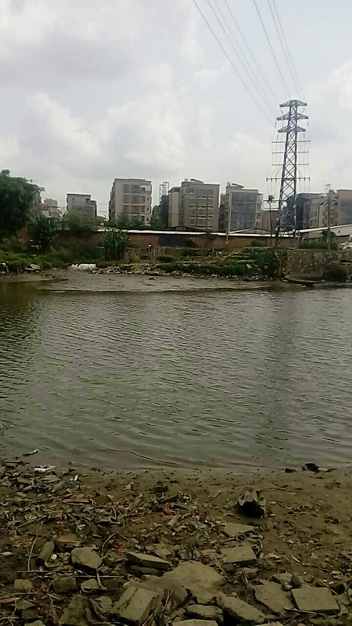 高山生态钓鱼场